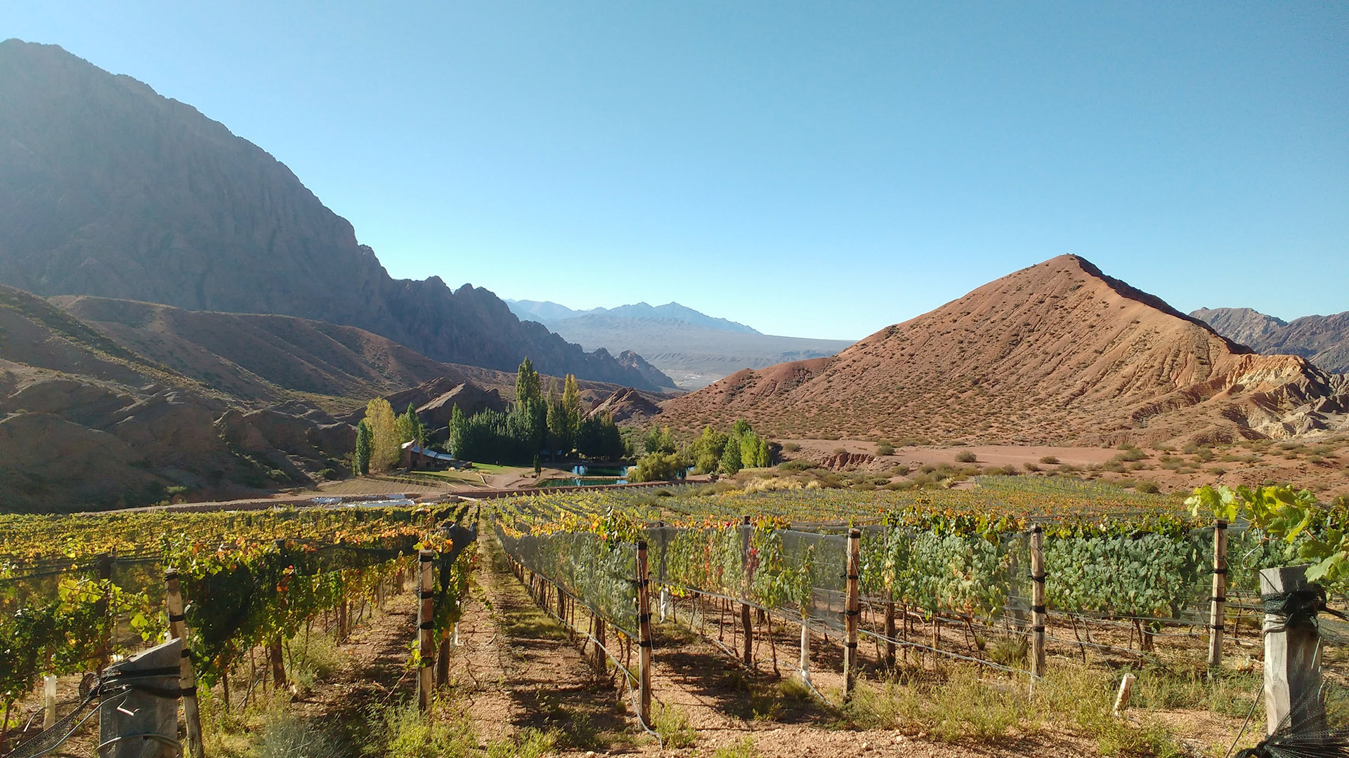 Vamos por vino! Un paseo por el norte de Argentina. 